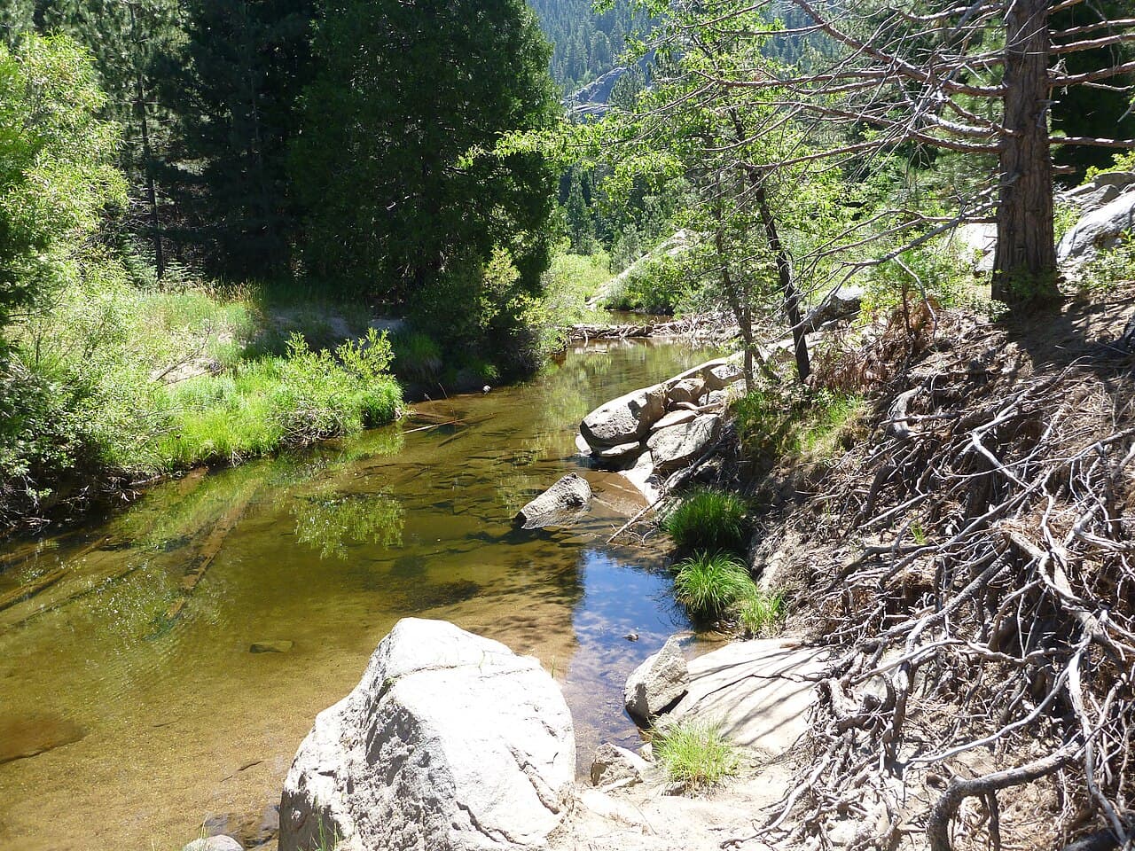 A New Home for Forest Byproducts Opens in the Sierra. Photo: Jonathan Muhiudeen, CC BY-SA 3.0, via Wikimedia Commons.