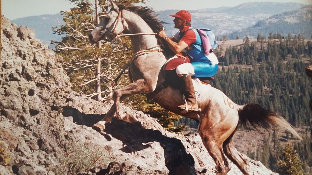 The Tevis Cup Turns 70: A Century-Mile Ride Through Our Canyons. Photo: Marion-Bourgeat, CC BY-SA 4.0, via Wikimedia Commons.