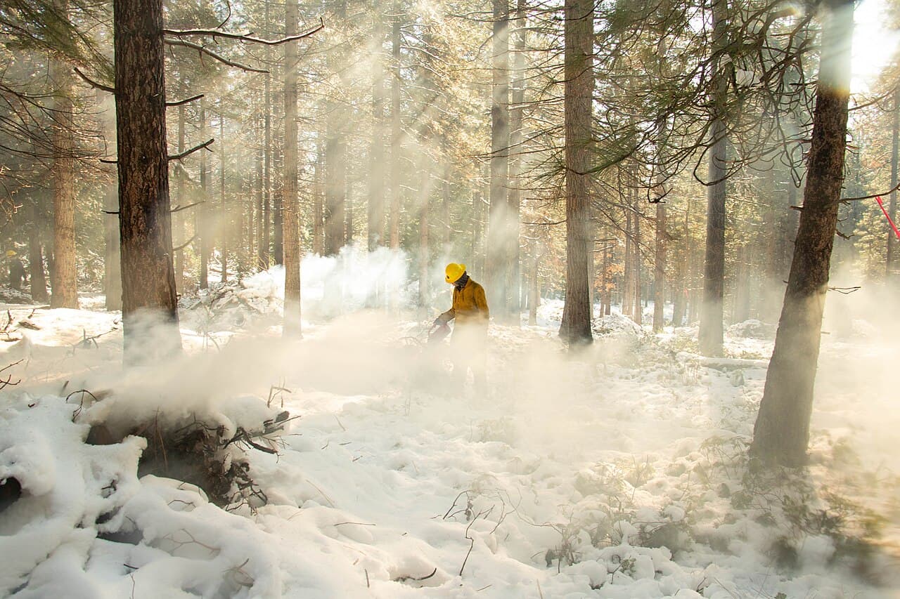 Fresh State Funding Targets Wildfire Risk Across the Sierra Nevada. Photo: Forest Service Photography, Public domain, via Wikimedia Commons.