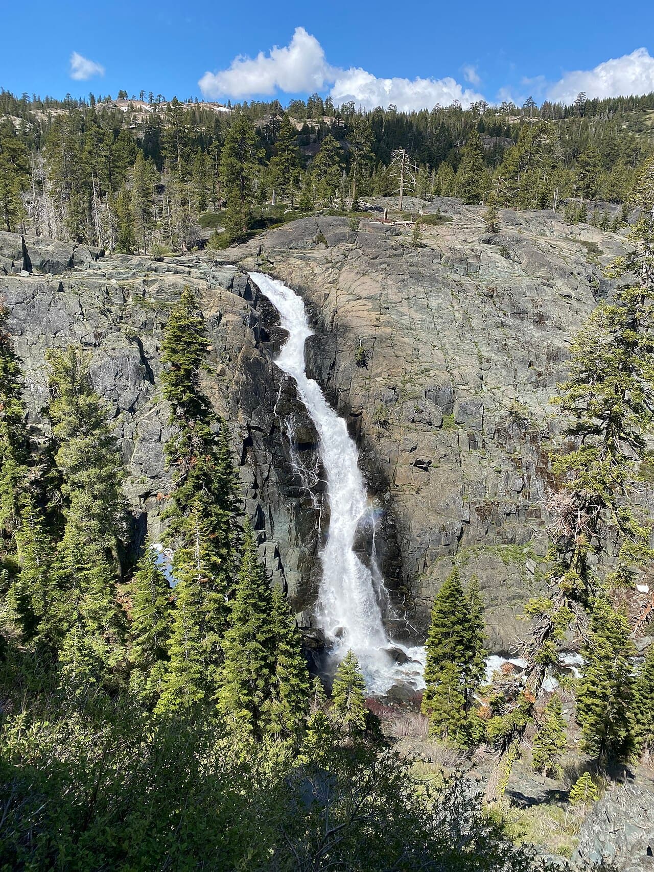 A Plumas Watershed Comes Back: Restoring the Moonlight Fire Burn Scar. Photo: Jengod, CC BY-SA 4.0, via Wikimedia Commons.