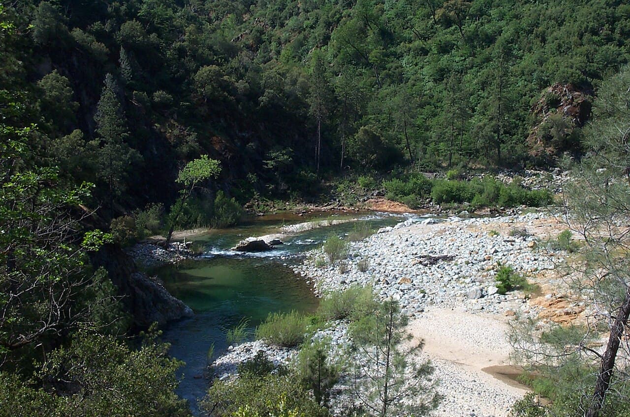 Yuba Forest Network: The Numbers Behind a Full Year of Forest Work. Photo: blmcalifornia, Public domain, via Wikimedia Commons.